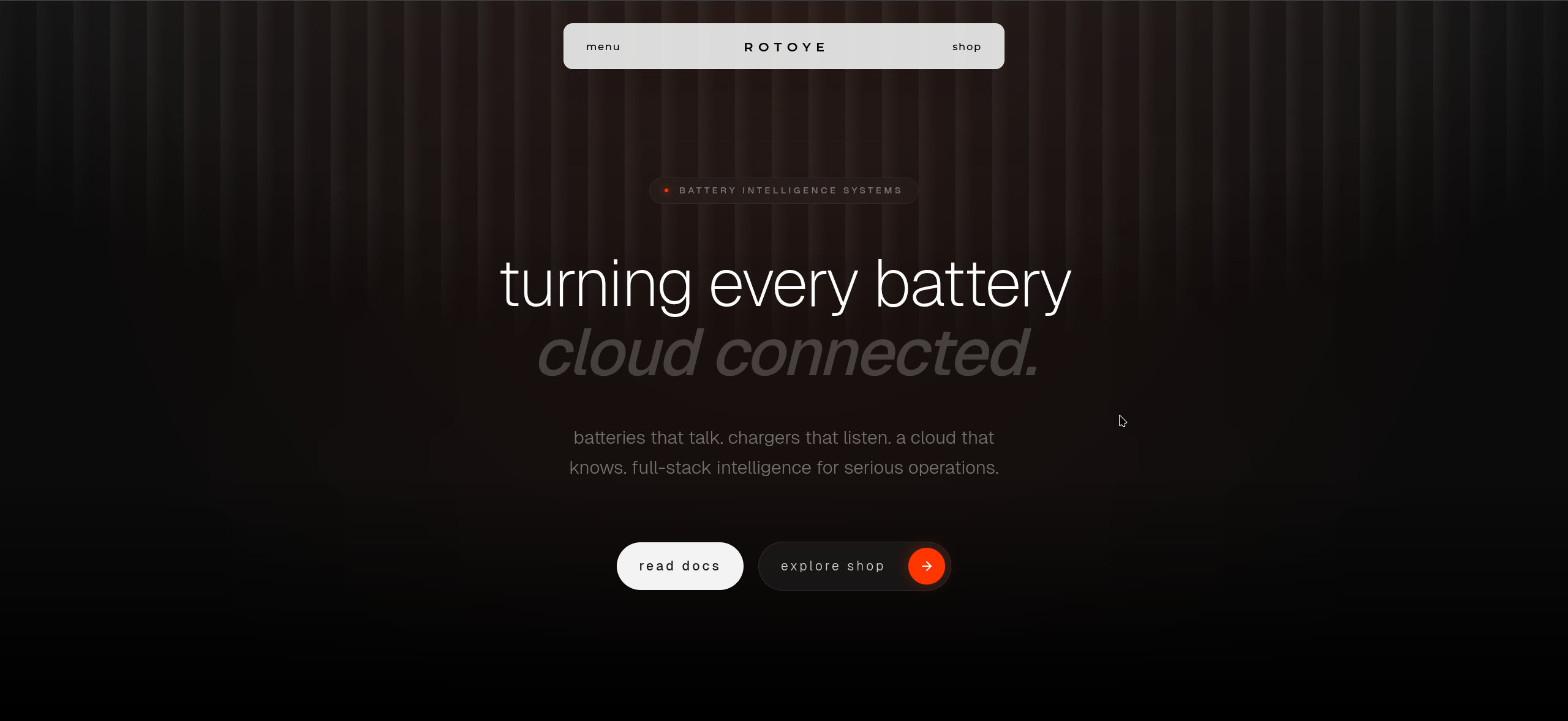 Rotoye Landing project screenshot